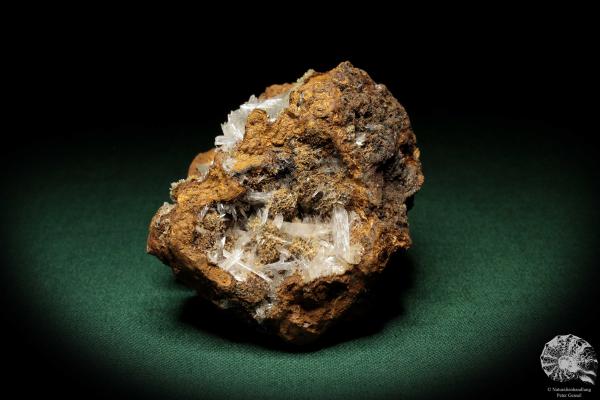 Hemimorphite XX on Limonite (5587) a mineral from Mexico | Minerals | Global