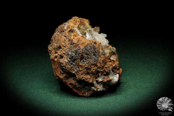 Hemimorphite XX on Limonite (5587) a mineral from Mexico | Minerals | Global