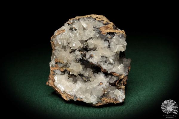 Hemimorphite XX on Limonite (5589) a mineral from Mexico | Minerals | Global