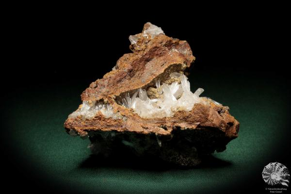 Hemimorphit XX auf Limonit (5591) ein Mineral aus Mexiko | Mineralien | Weltweit