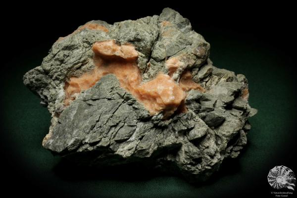 Gips XX (7406) ein Mineral aus Österreich | Mineralien | Weltweit