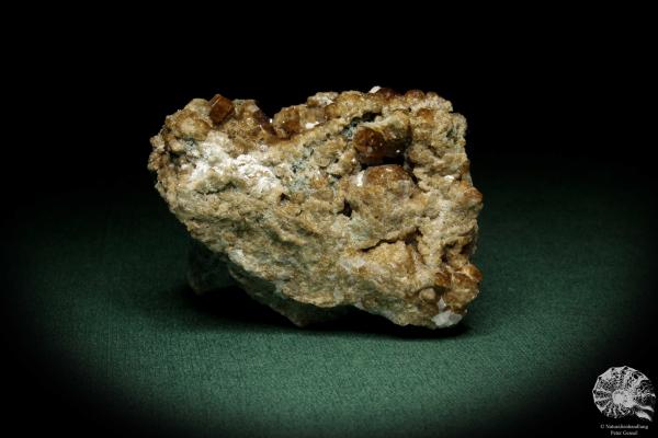 Grossular XX (8149) ein Mineral aus Italien | Mineralien | Weltweit