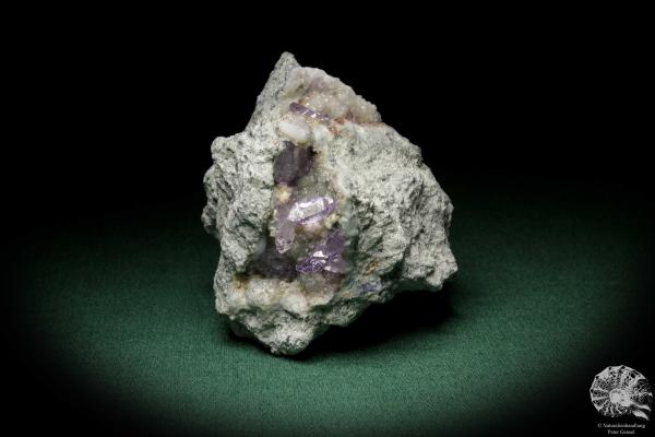 Amethyste XX (8160) a mineral from Italy | Minerals | Global