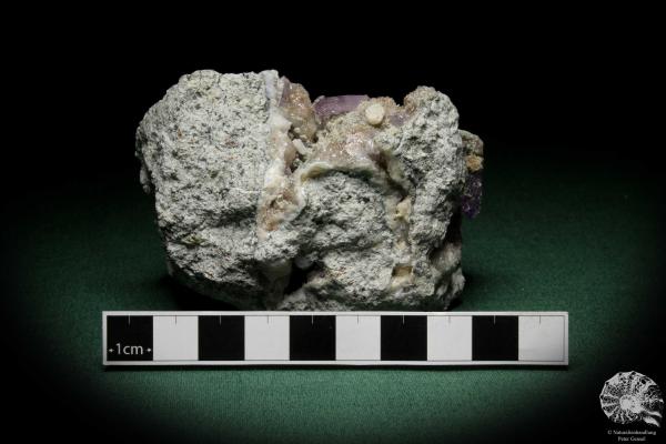 Amethyste XX (8160) a mineral from Italy | Minerals | Global