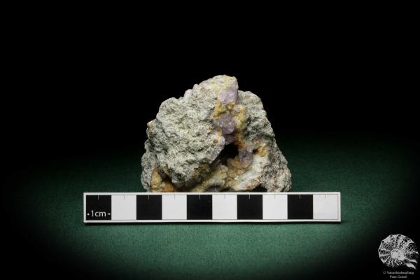 Amethyst XX (8161) ein Mineral aus Italien | Mineralien | Weltweit