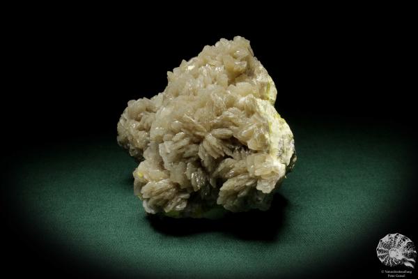 Baryt XX auf Schwefel (8363) ein Mineral aus Polen | Mineralien | Weltweit