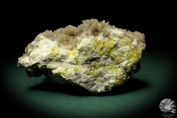 Baryt XX auf Schwefel (8363) ein Mineral aus Polen | Mineralien | Weltweit