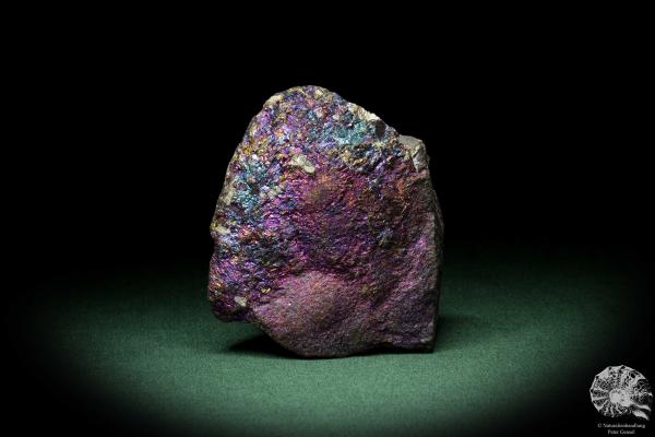 Chalcopyrite (9264) a mineral from Mexico | Minerals | Global