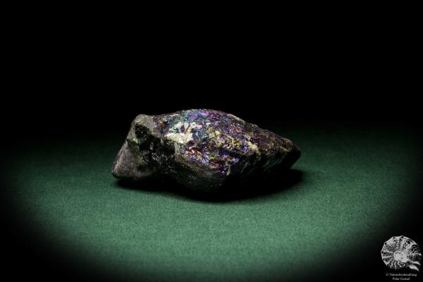 Chalcopyrite (9264) a mineral from Mexico | Minerals | Global