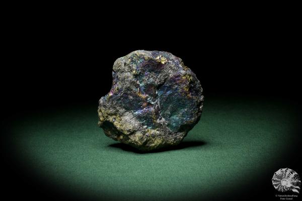 Chalcopyrite (9266) a mineral from Mexico | Minerals | Global