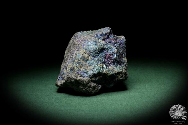 Chalcopyrite (9267) a mineral from Mexico | Minerals | Global