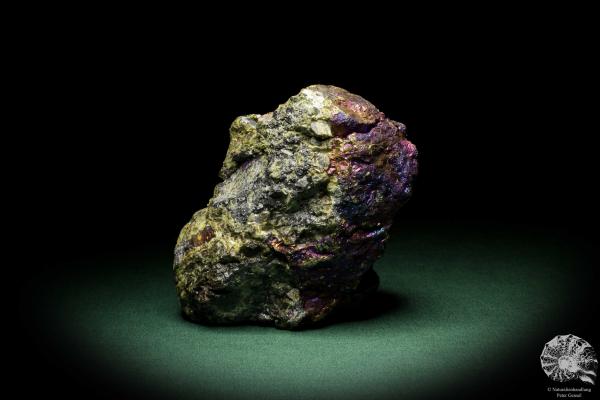 Chalcopyrite (9269) a mineral from Mexico | Minerals | Global