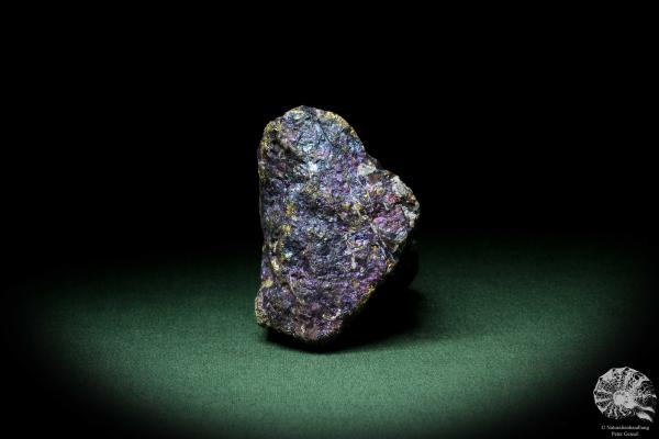 Chalcopyrite (9270) a mineral from Mexico | Minerals | Global