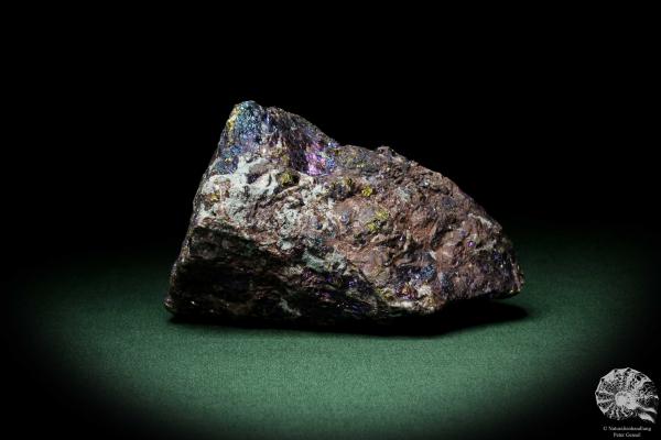 Chalcopyrite (9270) a mineral from Mexico | Minerals | Global