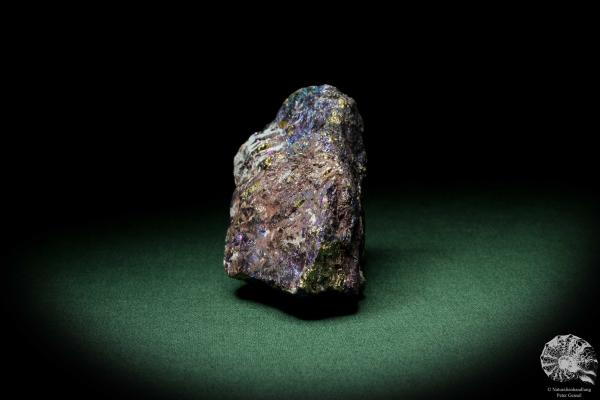 Chalcopyrite (9270) a mineral from Mexico | Minerals | Global