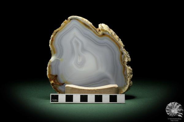 Agate Slice (9808) a mineral from South America | Crafts | From Minerals