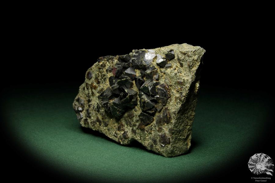 Sphalerit XX auf Pyrit (12572) ein Mineral aus Russland | Mineralien | Weltweit