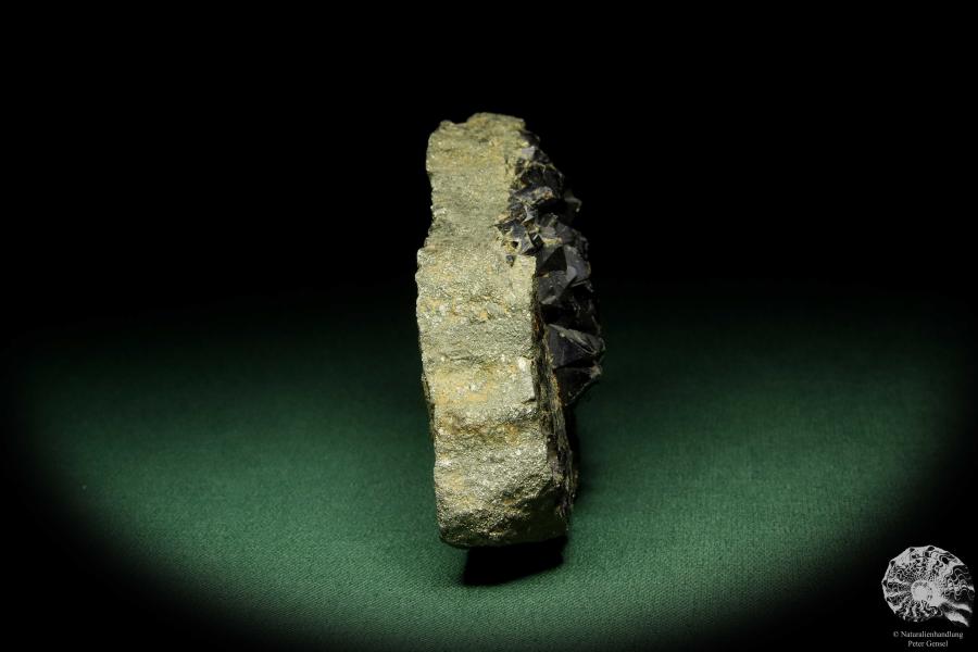 Sphalerit XX auf Pyrit (12572) ein Mineral aus Russland | Mineralien | Weltweit