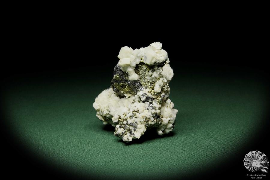 Dolomit XX auf Sphalerit XX (12581) ein Mineral aus Rumänien | Mineralien | Weltweit