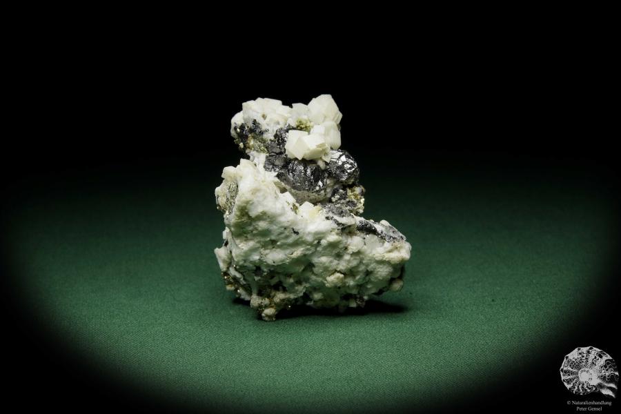 Dolomite XX on Sphalerit XX (12581) a mineral from Romania | Minerals | Global