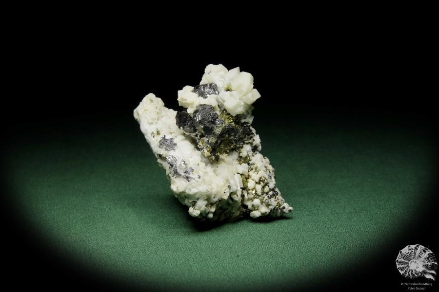 Dolomit XX auf Sphalerit XX (12581) ein Mineral aus Rumänien | Mineralien | Weltweit