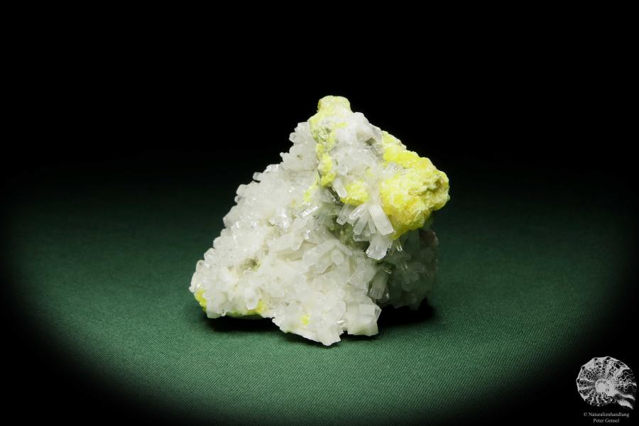 Coelestin XX auf Schwefel (12583) ein Mineral aus Polen | Mineralien | Weltweit