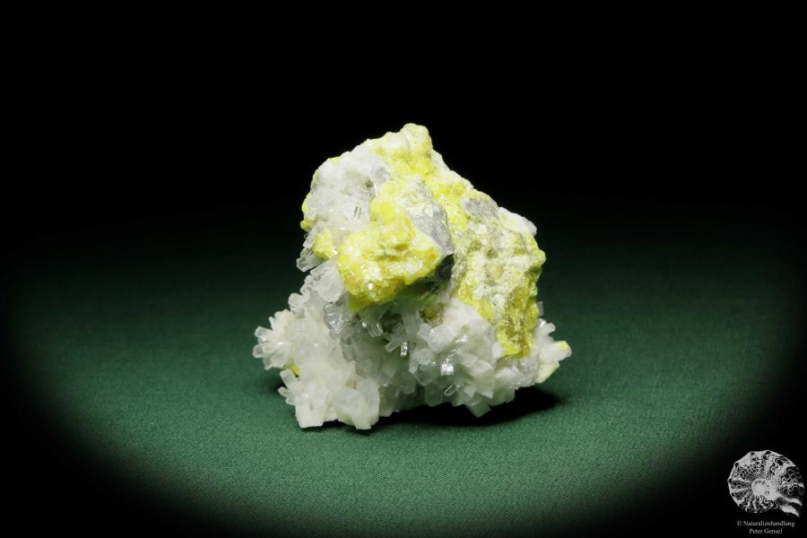 Celestine XX on Sulfur (12583) a mineral from Poland | Minerals | Global