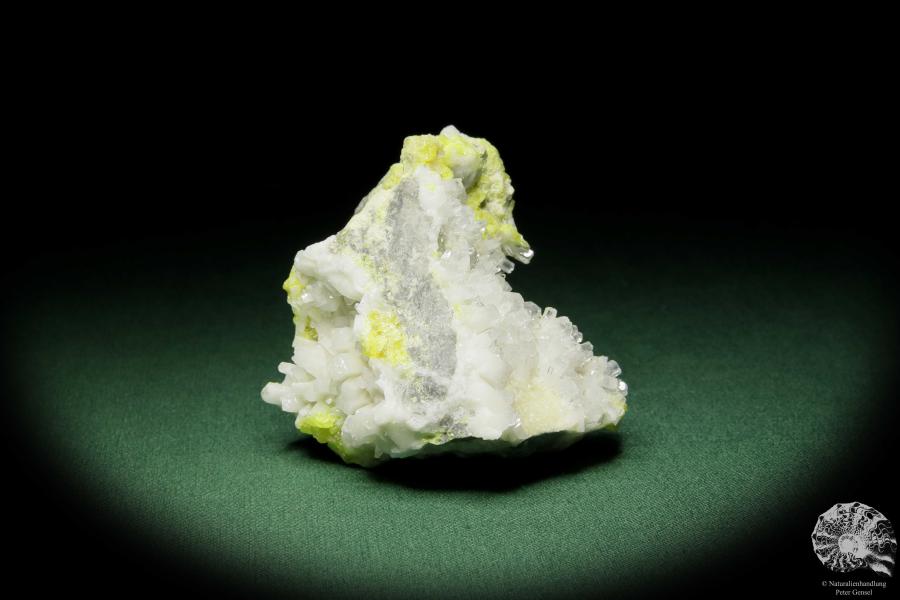 Coelestin XX auf Schwefel (12583) ein Mineral aus Polen | Mineralien | Weltweit