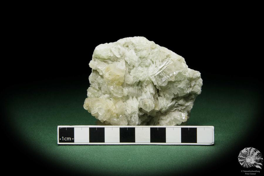 Datolith XX, Quarz XX & Calcit XX (12588) ein Mineral aus Russland | Mineralien | Weltweit