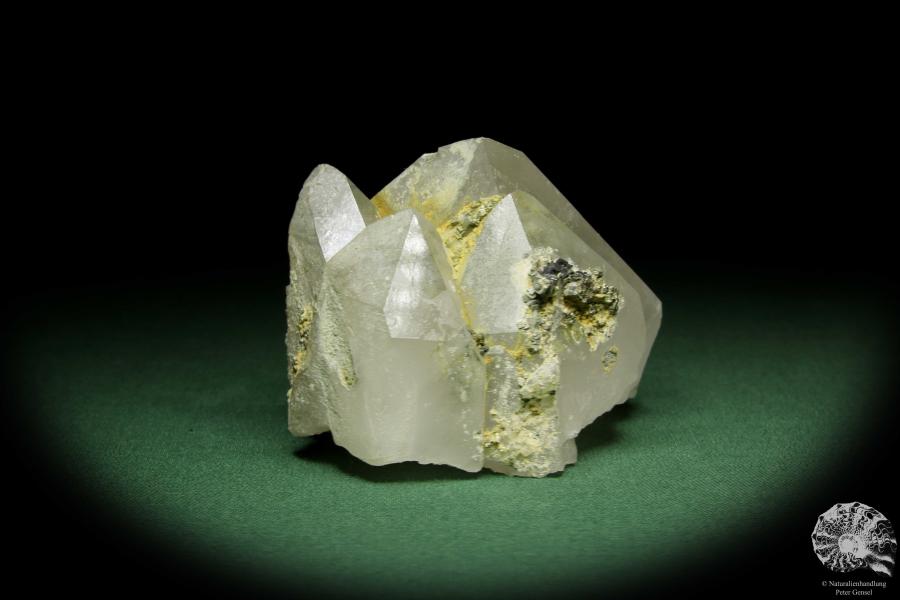 Quarz XX mit Pyrit XX (12624) ein Mineral aus Kasachstan | Mineralien | Weltweit