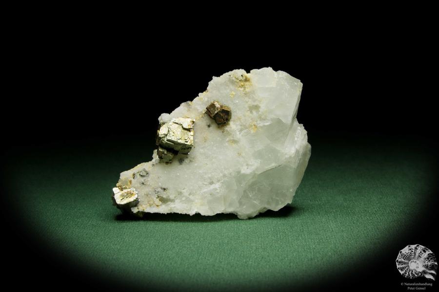 Pyrit XX auf Fluorit & Quarz (12635) ein Mineral aus Deutschland | Mineralien | aus Deutschland