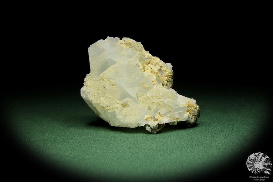 Pyrit XX auf Fluorit & Quarz (12635) ein Mineral aus Deutschland | Mineralien | aus Deutschland