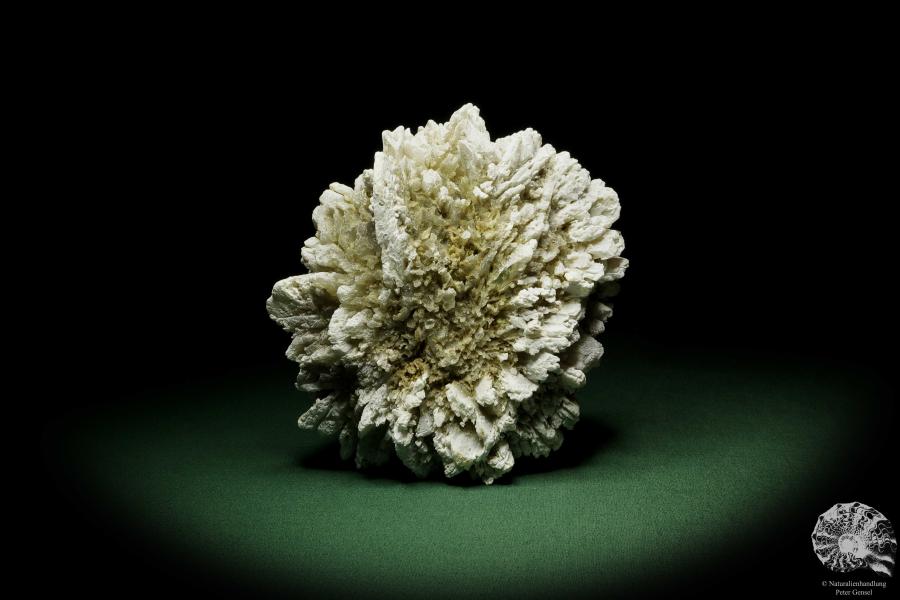 Gypsum XX (12642) a mineral from Kazakhstan | Minerals | Global