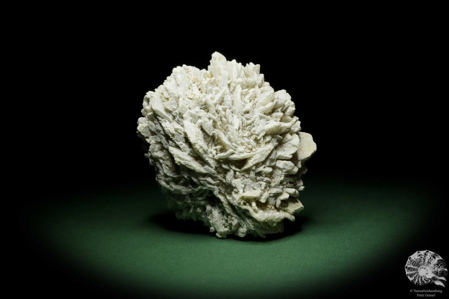 Gypsum XX (12642) a mineral from Kazakhstan | Minerals | Global