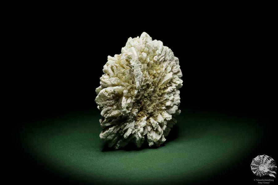 Gypsum XX (12642) a mineral from Kazakhstan | Minerals | Global