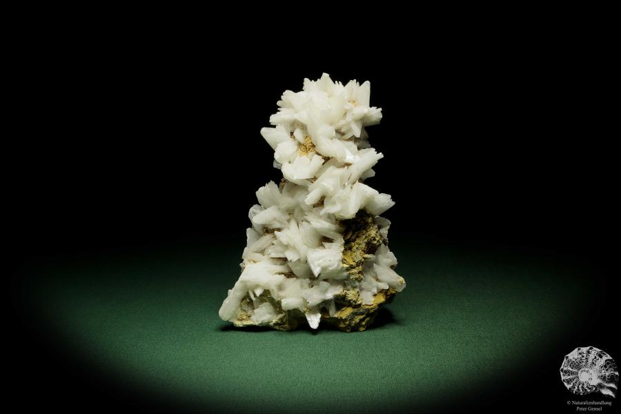 Gypsum XX (12644) a mineral from Romania | Minerals | From Germany