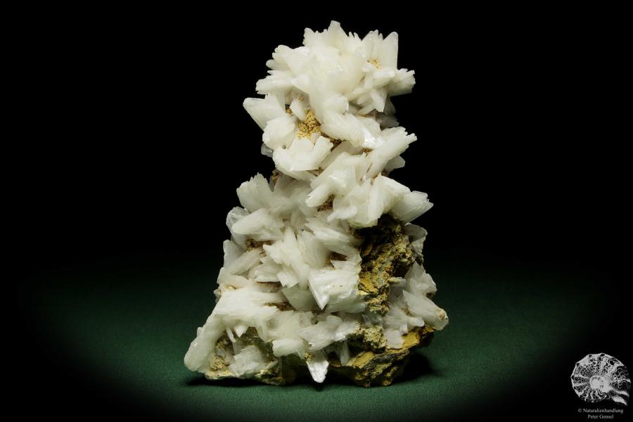 Gypsum XX (12644) a mineral from Romania | Minerals | From Germany