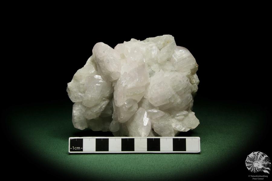 Datolith XX (12645) ein Mineral aus Russland | Mineralien | Weltweit