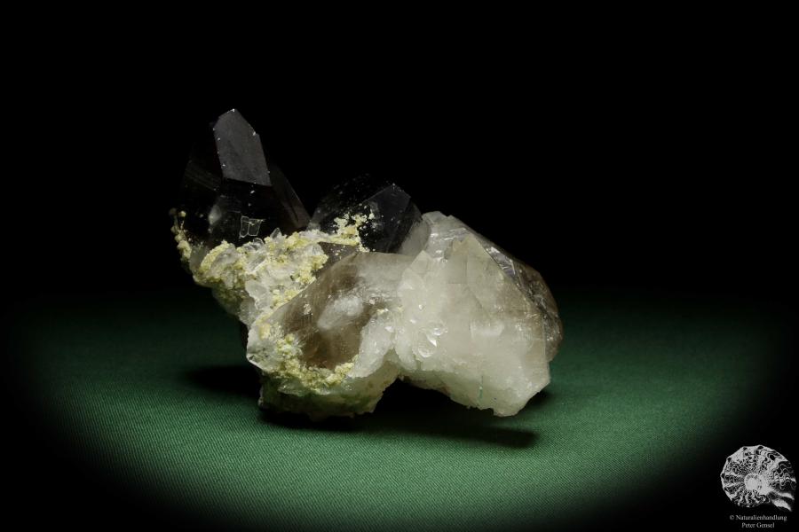 Rauchquarz XX (12648) ein Mineral aus Kasachstan | Mineralien | Weltweit