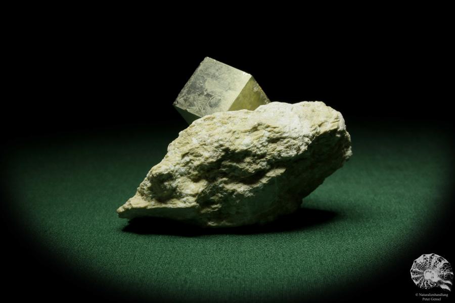 Pyrit XX in Tonschiefer (12655) ein Mineral aus Spanien | Mineralien | Weltweit