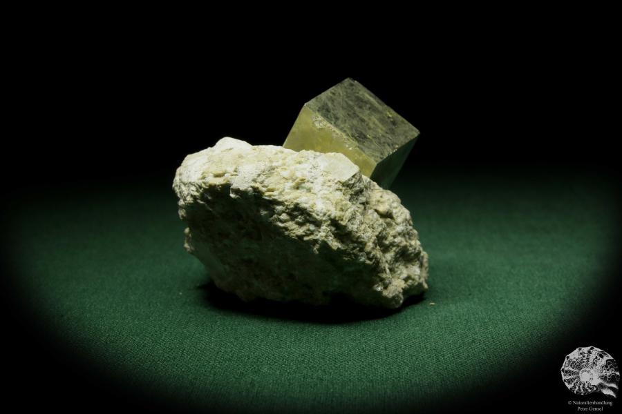 Pyrit XX in Tonschiefer (12655) ein Mineral aus Spanien | Mineralien | Weltweit