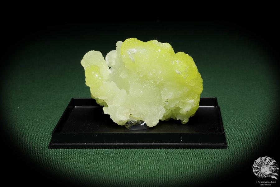 Brucit XX (12859) ein Mineral aus Pakistan | Mineralien | Weltweit