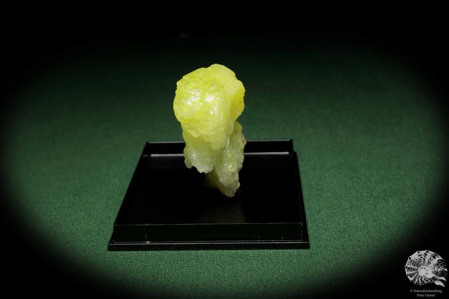 Brucit XX (12860) ein Mineral aus Pakistan | Mineralien | Weltweit