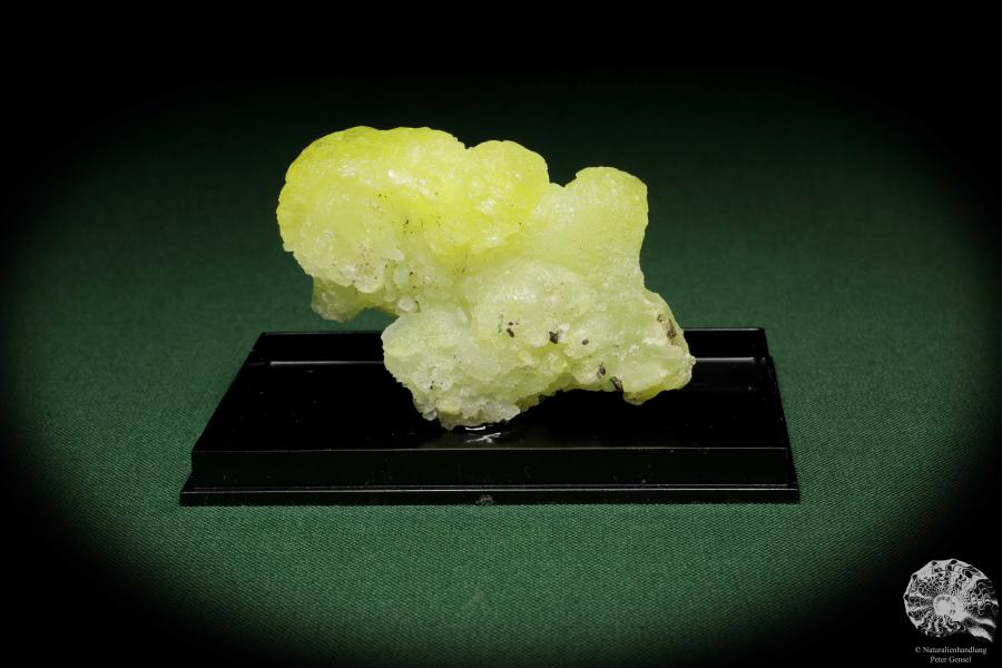 Brucit XX (12860) ein Mineral aus Pakistan | Mineralien | Weltweit