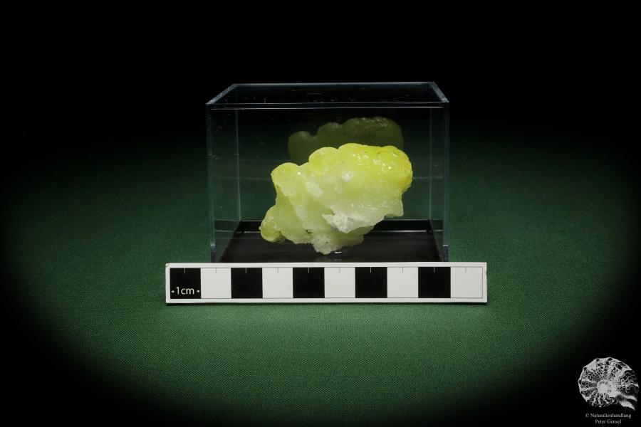 Brucite XX (12860) a mineral from Pakistan | Minerals | Global