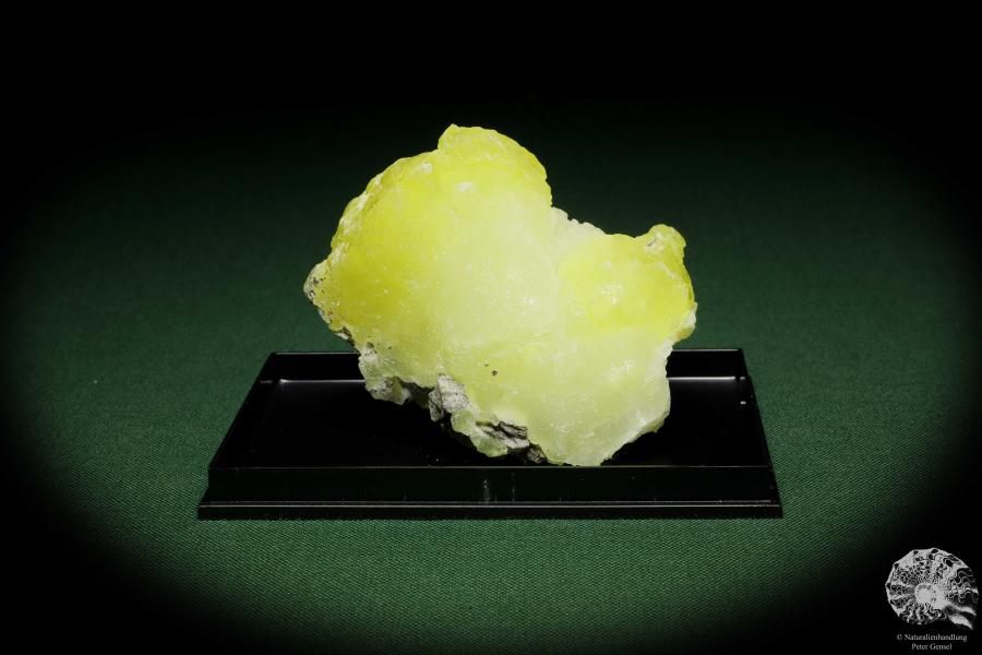 Brucit XX (12861) ein Mineral aus Pakistan | Mineralien | Weltweit