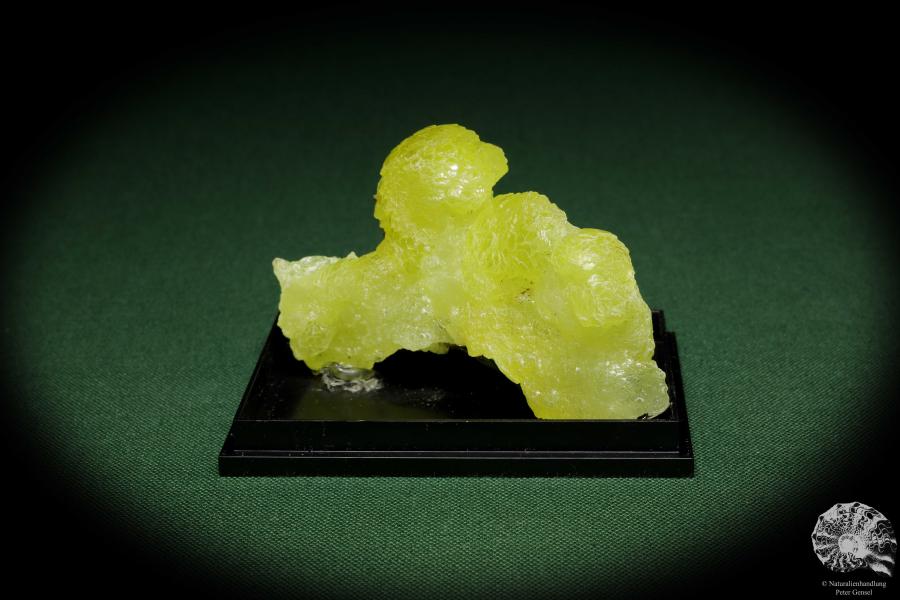 Brucit XX (12864) ein Mineral aus Pakistan | Mineralien | Weltweit