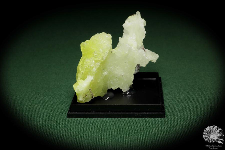 Brucit XX (12866) ein Mineral aus Pakistan | Mineralien | Weltweit