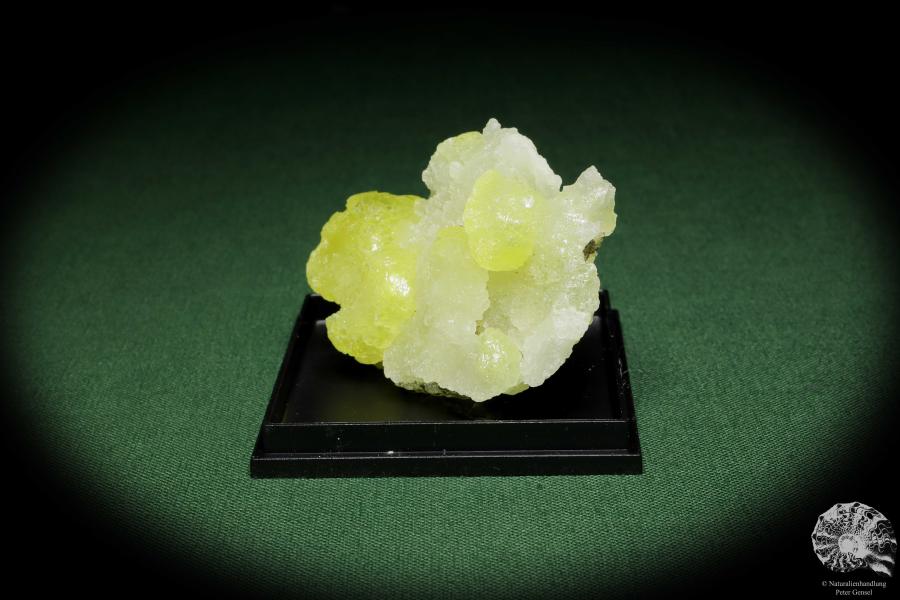 Brucit XX (12867) ein Mineral aus Pakistan | Mineralien | Weltweit