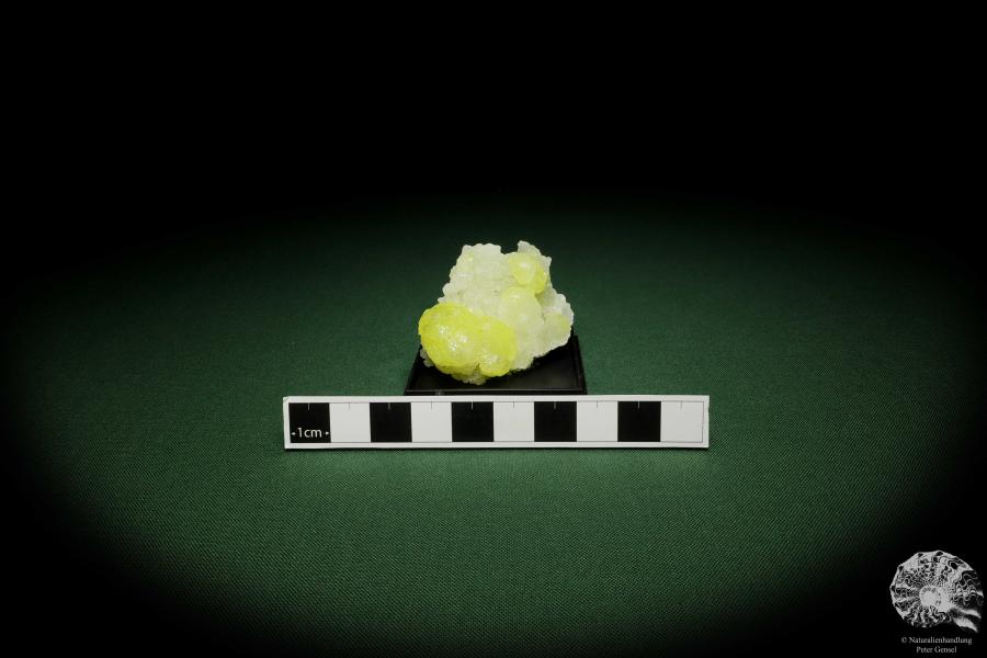 Brucite XX (12867) a mineral from Pakistan | Minerals | Global